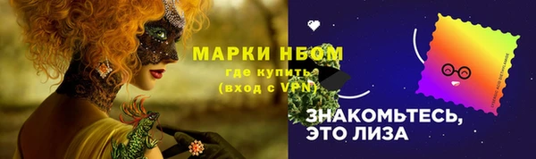 СК Инта