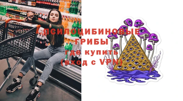 СК Инта