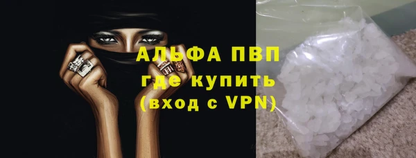 СК Инта