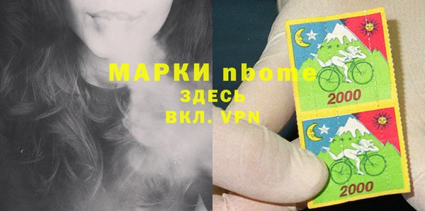 СК Инта