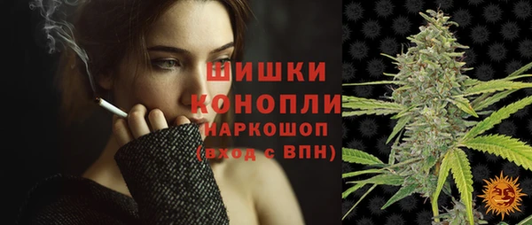 СК Инта
